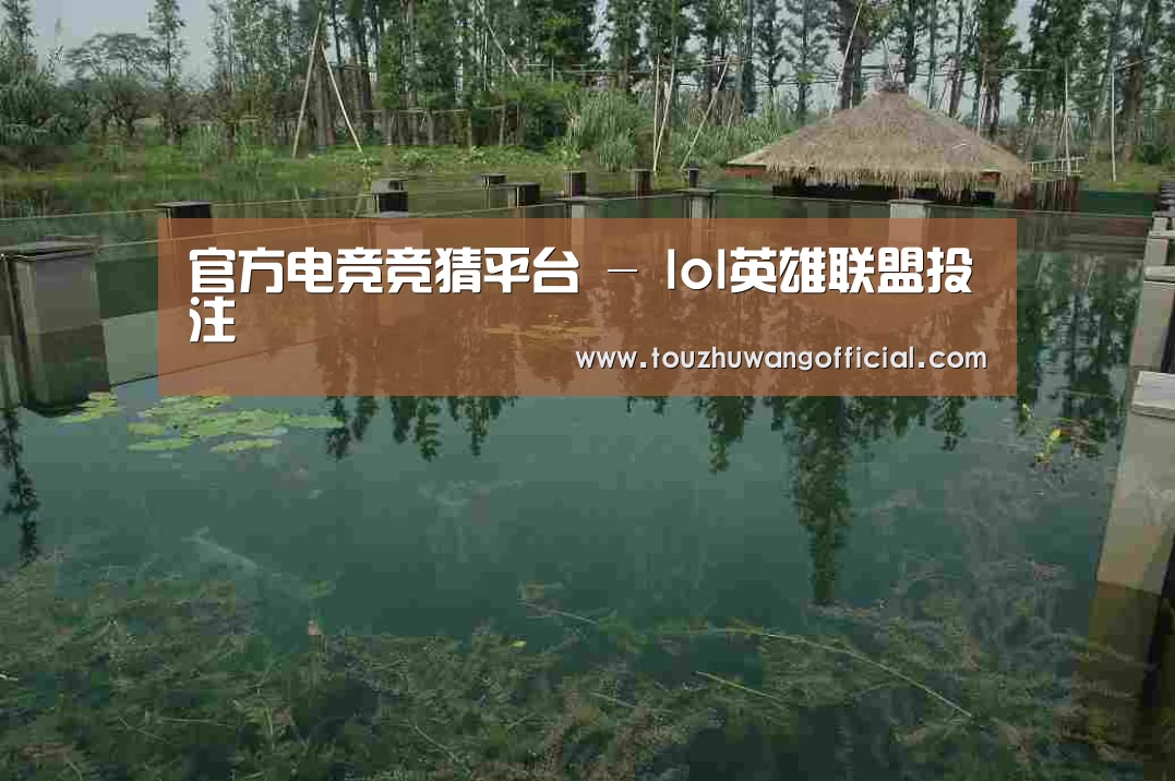 案例展示二(图1)