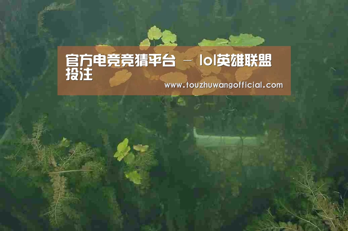 案例展示三