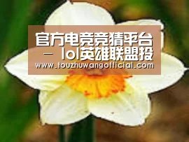 产品名称四