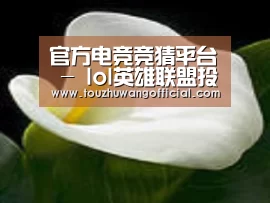 产品名称七