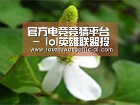 产品名称三