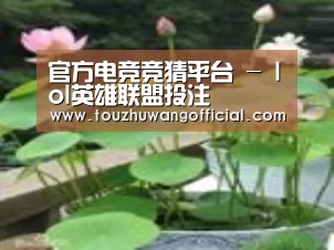 产品名称一