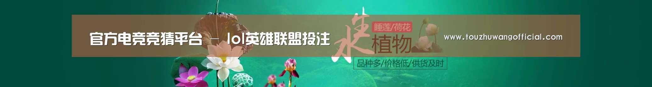 鲜花水草花卉网站模板