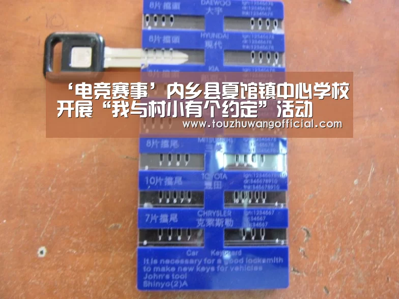 ‘电竞赛事’内乡县夏馆镇中心学校开展“我与村小有个约定”活动(图3) 2026年最佳英雄联盟投注网站